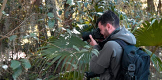Tigre: Se invita a vecinos a participar de la 4° edición de Tigre Photo Fest
