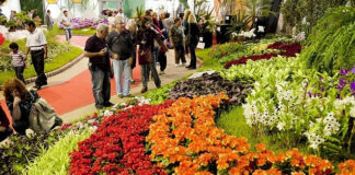 Escobar: La Fiesta Nacional de la Flor, el desfile de carrozas y los festejos por el aniversario del distrito son algunas de las propuestas culturales del fin de semana