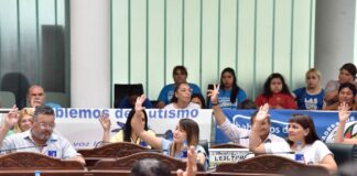 Malvinas: Se aprobó el proyecto que declara al Municipio territorio libre de pirotecnia sonora