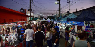 Escobar: La Municipalidad lanzó una convocatoria abierta para participar del Parque Navideño