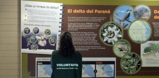 Tigre: El Municipio participó del cierre del proyecto de restauración del Monte Blanco en el Delta