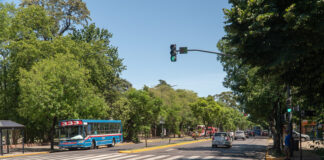 San Isidro: Comienza la renovación del pavimento de las avenidas Santa Fe y Centenario