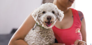 Vicente López: El Centro de Zoonosis, fomenta el bienestar animal