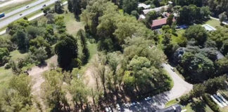 Escobar: El Municipio relevó la cantidad de árboles para su preservación y multiplicación en el predio donde se proyecta la construcción de viviendas en Loma Verde