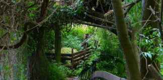 Vicente López: Reserva Ecológica, Nuevo horario para visitarla