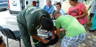 Escobar: Continúan las jornadas gratuitas de vacunación y castración en las distintas localidades