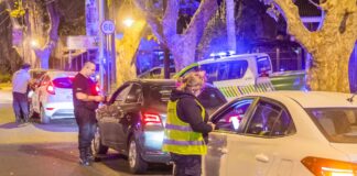San Fernando: Se realizó nuevos operativos de seguridad en Victoria, Virreyes y el casco céntrico