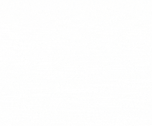 spot_img