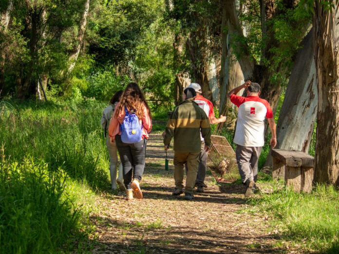 unnamed - 2025-10-29T121524.192