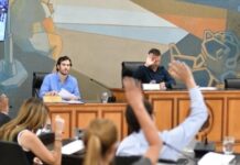 Tigre: el bloque de Fuerza Patria pidió suspender todas las torres, pero Zamora y Cernadas votaron en contra