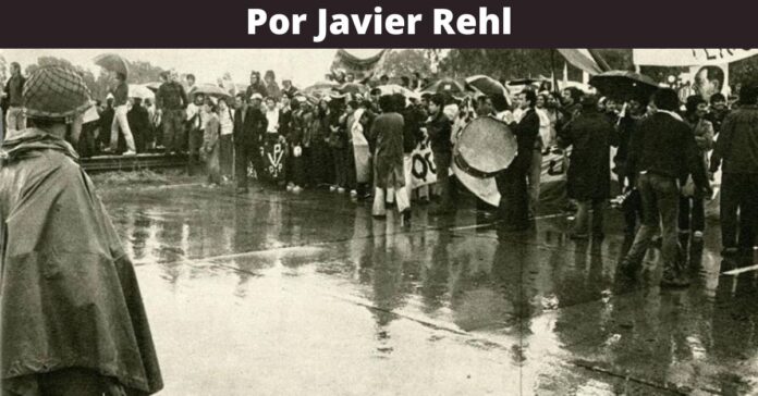 columnas nuevo - 2025-11-17T091420.543