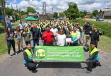 Tigre realizó un operativo ambiental junto a voluntarios de ASEZ WAO en El Talar