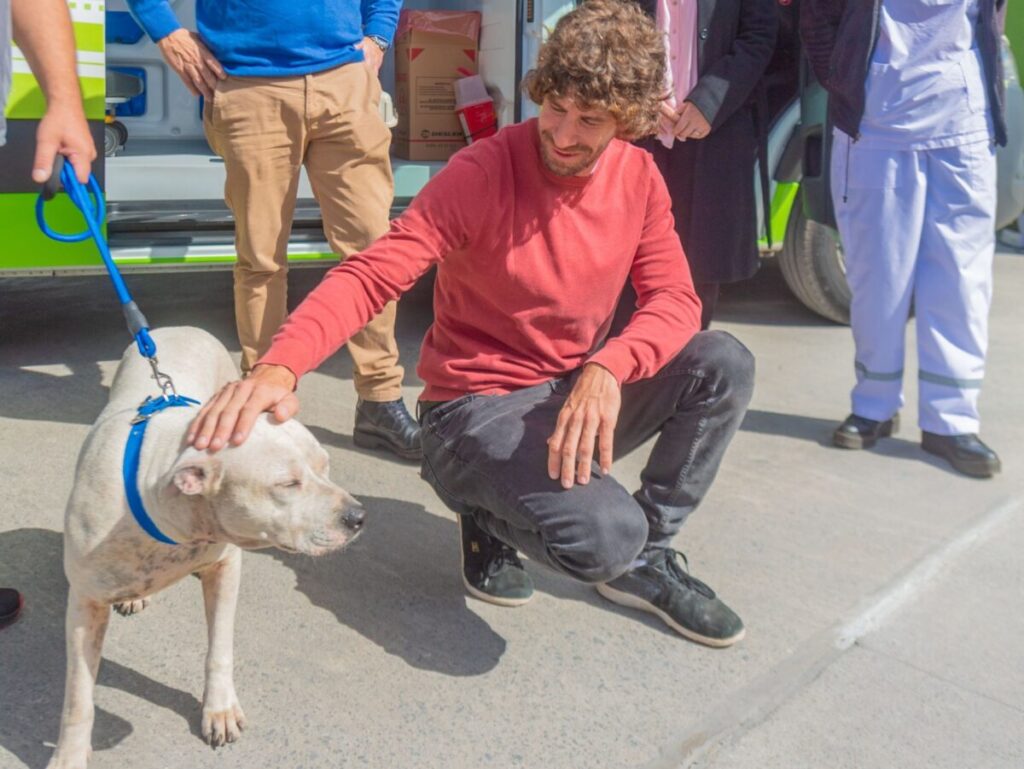 San Fernando prohibió los criaderos y la venta de animales en comercios