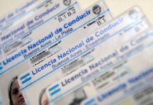PBA prorrogó por 120 días las licencias de conducir profesionales que vencen entre julio y octubre