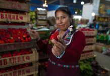 Escobar: la Fiesta de la Frutilla tendrá venta directa de productores, gastronomía y shows